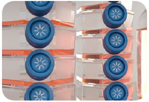 Thermo Scientific Nalgene Filtration Products